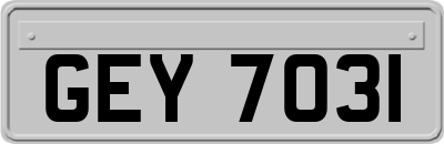 GEY7031