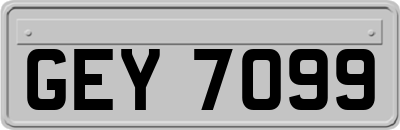 GEY7099