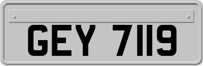 GEY7119