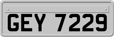 GEY7229