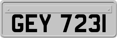 GEY7231