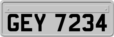 GEY7234