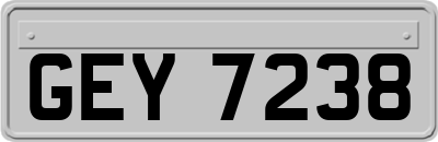 GEY7238