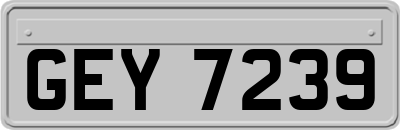 GEY7239