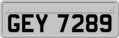 GEY7289