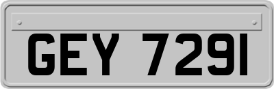 GEY7291