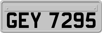 GEY7295