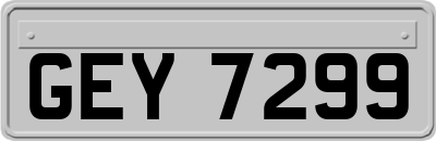 GEY7299
