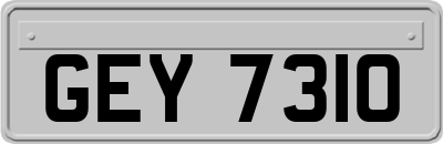GEY7310