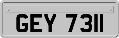 GEY7311