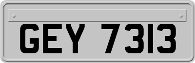 GEY7313