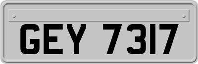 GEY7317