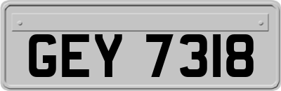GEY7318