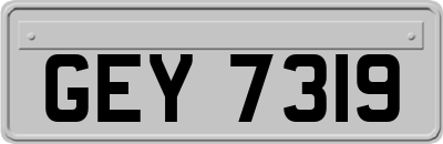 GEY7319