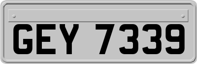 GEY7339