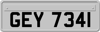 GEY7341