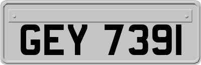 GEY7391