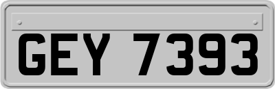 GEY7393