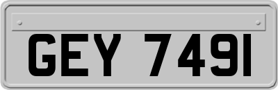 GEY7491