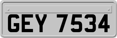 GEY7534
