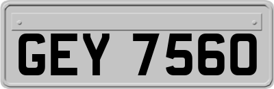 GEY7560