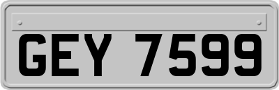 GEY7599