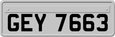 GEY7663