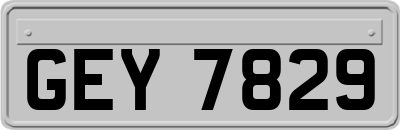 GEY7829