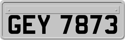 GEY7873