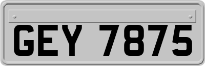 GEY7875