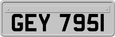 GEY7951