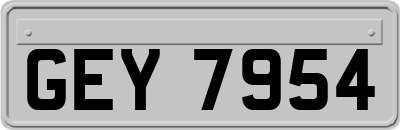 GEY7954