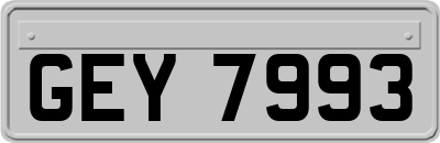 GEY7993