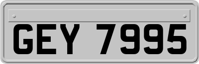 GEY7995