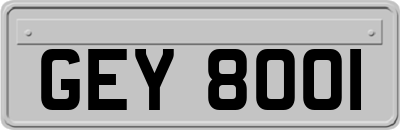 GEY8001