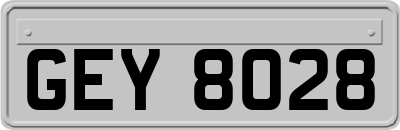 GEY8028