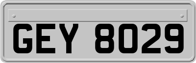 GEY8029