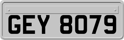 GEY8079