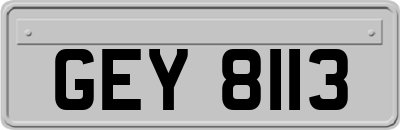 GEY8113