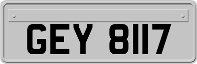 GEY8117