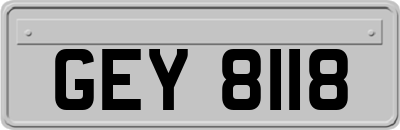 GEY8118