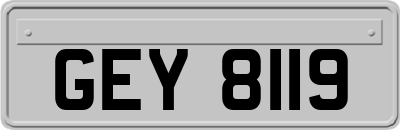 GEY8119