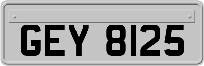 GEY8125