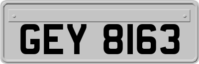 GEY8163
