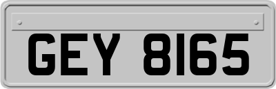 GEY8165