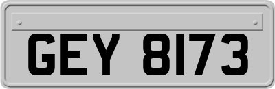 GEY8173
