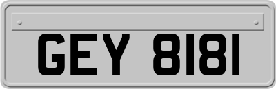 GEY8181