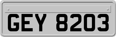 GEY8203