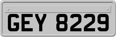 GEY8229