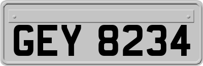 GEY8234